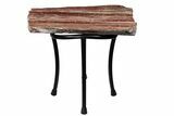 Arizona Petrified Wood Table With Metal Base #214471-8